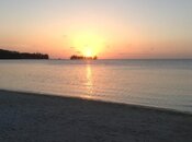 IMG_0039.jpg