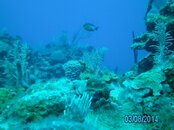 PICT0112.jpg