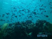 PICT0183_2.jpg