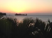 IMG_0041.jpg