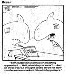 SCUBA sharks.jpg
