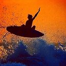 11201823_10153100444343507_6513924747965935752_n.jpg 11201823_10153100444343507_6513924747965935752_n.jpg