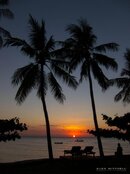 IMG_5936.jpg