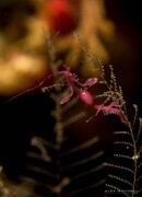 _DSC6954.jpg