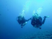 Guy Peggy sous eau.jpg