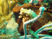 PICT0044.jpg
