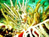 PICT0041.jpg