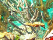 PICT0042.jpg