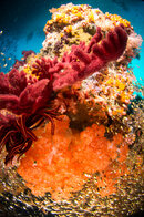 DSC_3640.jpg