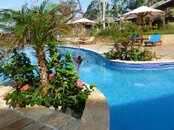 Large Pool.jpg