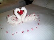 Towel Art.jpg
