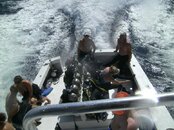 From Flybridge.jpg