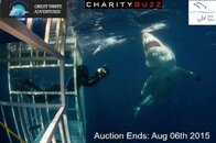 Great White Adventure 2.jpg