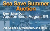 Auction.jpg