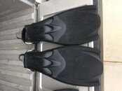 IMG_2551.jpg