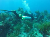 st maarten 2015 353.jpg st maarten 2015 353.jpg