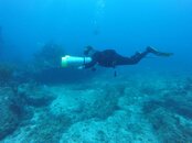 st maarten 2015 098.jpg st maarten 2015 098.jpg