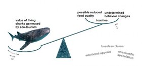 Whalesharksarguments.jpg