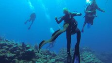 Barracuda.00_10_43_01.Still002.jpg