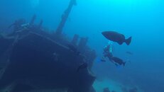 VTS_01_1.00_10_17_29.Still005.jpg