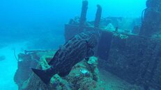 VTS_01_1.00_11_37_06.Still008.jpg