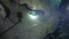 VTS_01_1.00_38_08_04.Still025.jpg