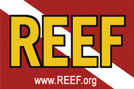 REEFlogo.jpg