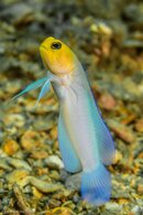 DSC01609-1 2.jpg