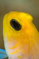 DSC01625-1.jpg