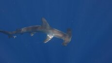 IMG_2634.jpg