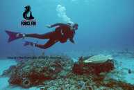 force_fin_diver_turtle.jpg
