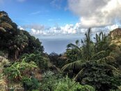 Saba from Veranda.jpg