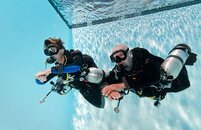 padi-americas-1.jpg