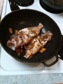 First Lionfish.jpg First Lionfish.jpg
