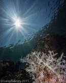 _DSC7651.jpg