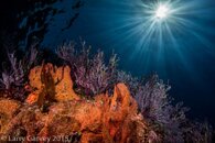 _DSC7194-Edit.jpg