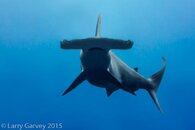 _DSC5956-Edit-Edit.jpg