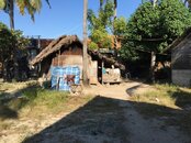 IMG_0377.jpg