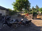 IMG_0382.jpg