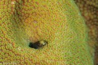 Bonaire October 2015-2.jpg