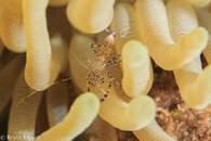Bonaire October 2015-3.jpg