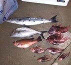 IMG_20151107_200111.jpg