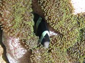 151108-xlc8.jpg