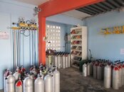 IMG_1000000866.jpg