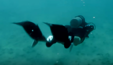 scuba_pic2.png