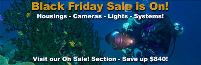 BF-sale-sb.jpg