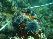IMG_9172.jpg