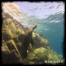 IMG_6541.jpg