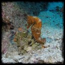 IMG_6543.jpg
