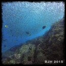 IMG_6544.jpg
